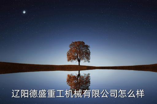遼陽德盛重工機(jī)械有限公司怎么樣