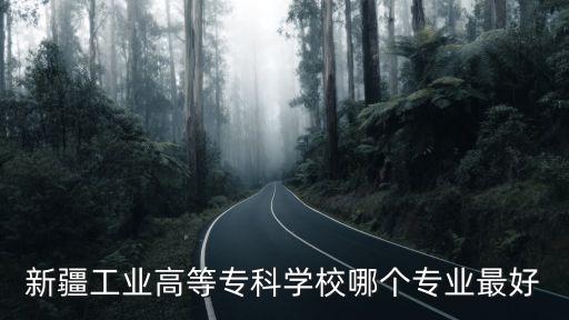 新疆工業(yè)高等?？茖W(xué)校哪個專業(yè)最好