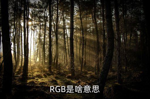 RGB是啥意思