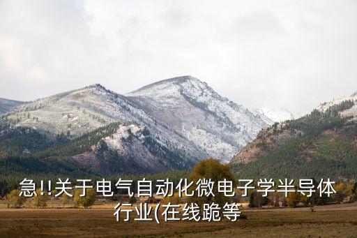 電氣自動(dòng)化芯片方面的應(yīng)用,
