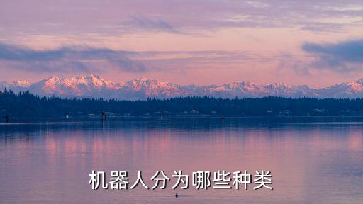 機器人分為哪些種類