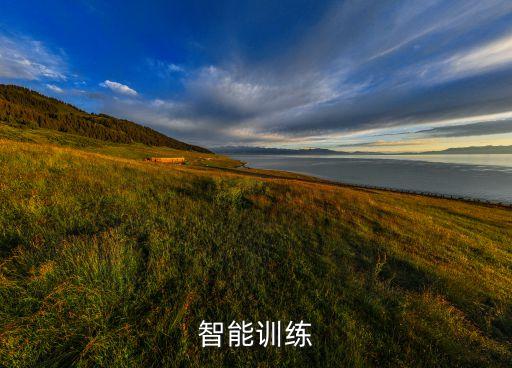 智能訓練