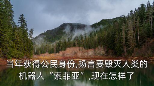擁有公民身份的機(jī)器人,首個擁有公民身份的機(jī)器人