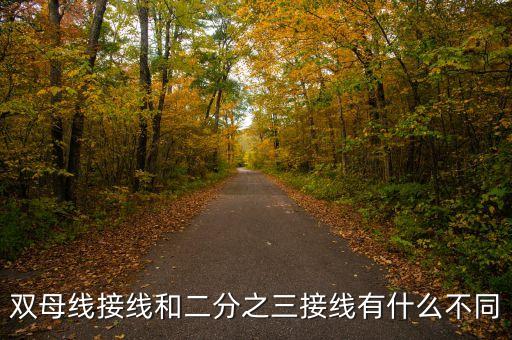 雙母線接線和二分之三接線有什么不同