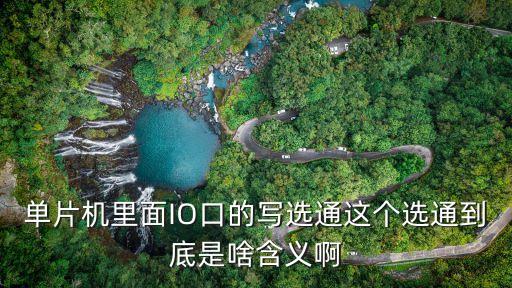 單片機里面IO口的寫選通這個選通到底是啥含義啊