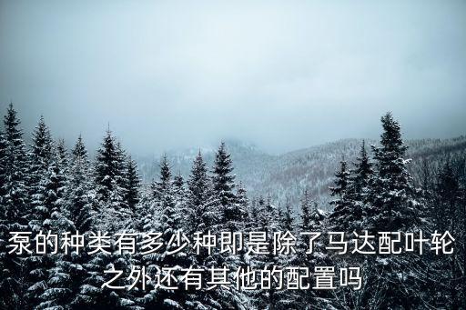 泵的種類有多少種即是除了馬達(dá)配葉輪之外還有其他的配置嗎