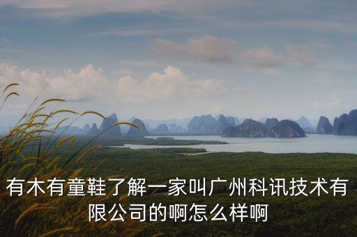 有木有童鞋了解一家叫廣州科訊技術(shù)有限公司的啊怎么樣啊