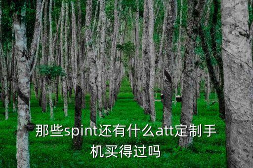那些spint還有什么att定制手機買得過嗎