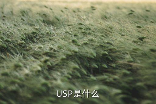 usp電源，USP是什么