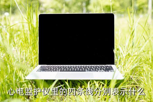 心電監(jiān)護儀里的四條線分別表示什么