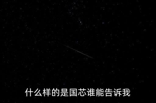 國芯，0002是什么芯片