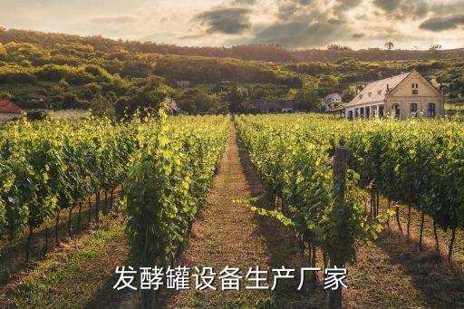 發(fā)酵罐設備生產(chǎn)廠家