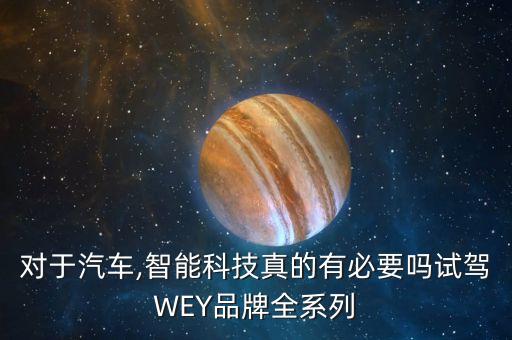 對(duì)于汽車,智能科技真的有必要嗎試駕WEY品牌全系列