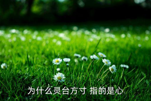 為什么靈臺(tái)方寸 指的是心