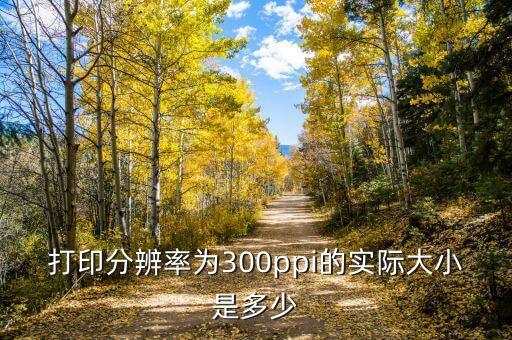打印分辨率為300ppi的實(shí)際大小是多少