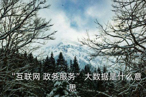 什么是公共大數(shù)據(jù),大數(shù)據(jù)有什么用?