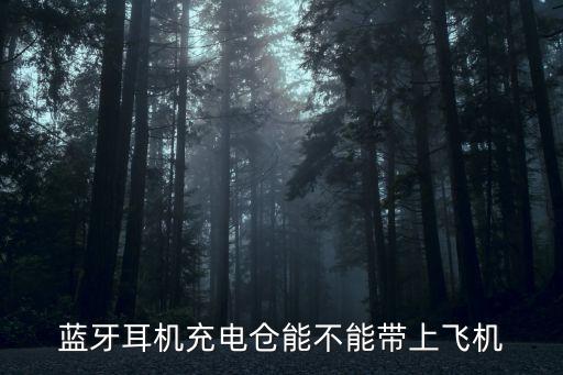 藍牙耳機充電倉能不能帶上飛機