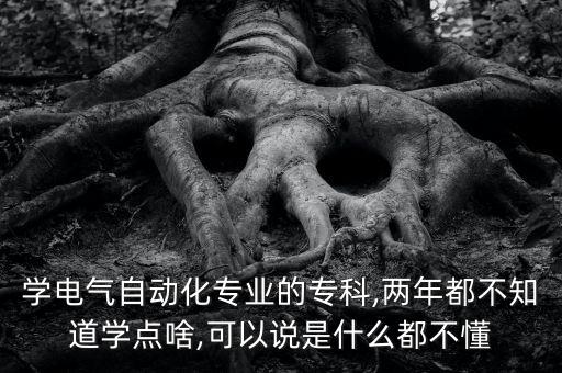 學(xué)電氣自動(dòng)化專業(yè)的?？?兩年都不知道學(xué)點(diǎn)啥,可以說是什么都不懂