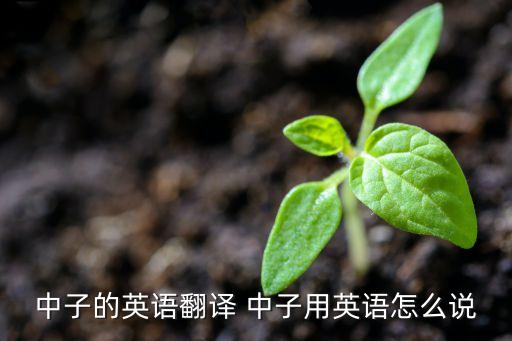 protons，proton是什么意思