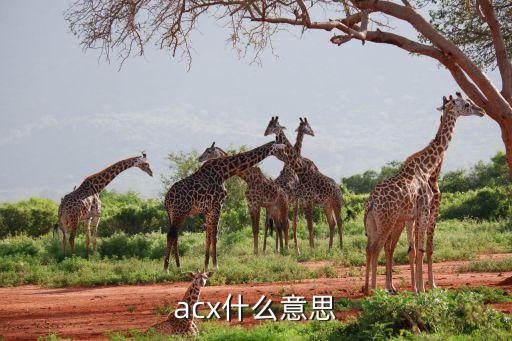 acx，在音響上的UsB ACX不知什么意思