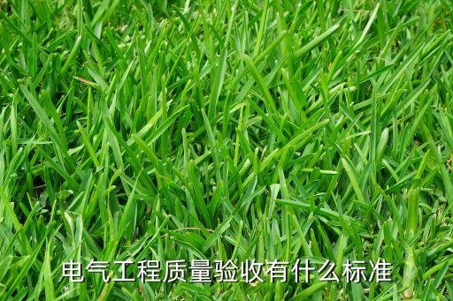 電氣工程質(zhì)量驗(yàn)收有什么標(biāo)準(zhǔn)
