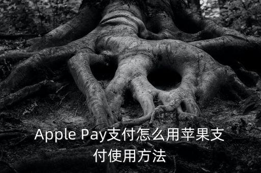 Apple Pay支付怎么用蘋果支付使用方法