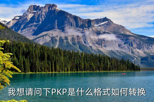 我想請問下PKP是什么格式如何轉(zhuǎn)換