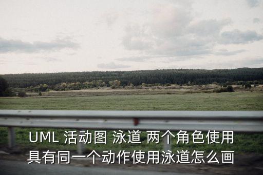 UML 活動(dòng)圖 泳道 兩個(gè)角色使用具有同一個(gè)動(dòng)作使用泳道怎么畫(huà)