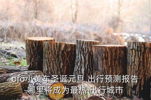 ofo小黃車圣誕元旦 出行預(yù)測報(bào)告哪里將成為最熱 出行城市