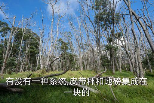 有沒(méi)有一種系統(tǒng),皮帶秤和地磅集成在一塊的