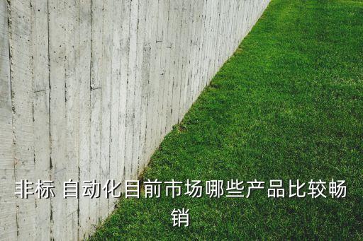 非標(biāo) 自動化目前市場哪些產(chǎn)品比較暢銷