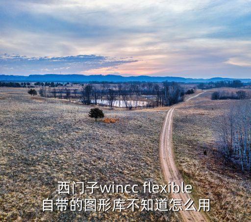 西門子wincc flexible自帶的圖形庫不知道怎么用