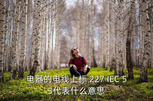 電器的電線上標 227 IEC 53代表什么意思