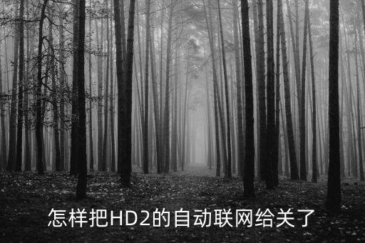 怎樣把HD2的自動聯(lián)網(wǎng)給關(guān)了