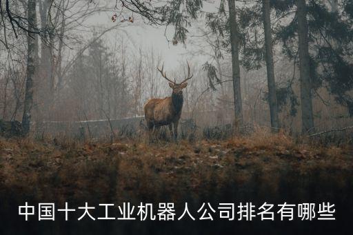自動(dòng)化相關(guān)公司有哪些,中國自動(dòng)化設(shè)備制造商你知多少?