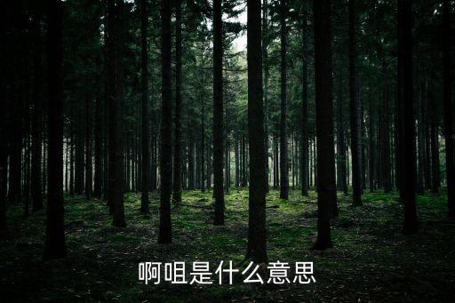 啊邱，啊咀是什么意思