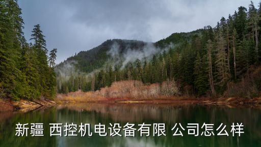 蘭州西控自動化公司,蘭州自動化公司有哪些