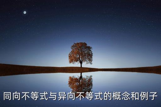 同向，向量同向的概念