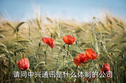 請(qǐng)問中興通訊是什么體制的公司