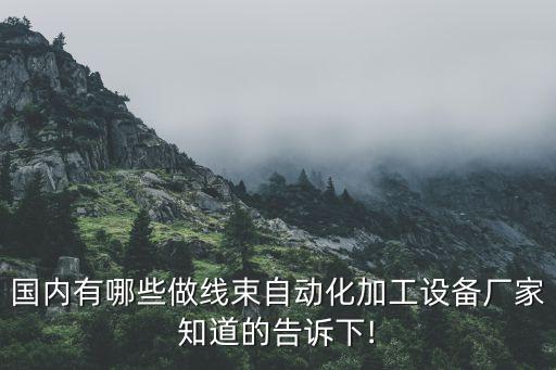 國內(nèi)有哪些做線束自動(dòng)化加工設(shè)備廠家知道的告訴下!