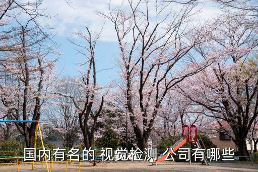 國內(nèi)有名的 視覺檢測 公司有哪些