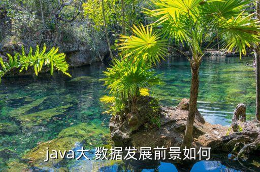 java大 數(shù)據(jù)發(fā)展前景如何