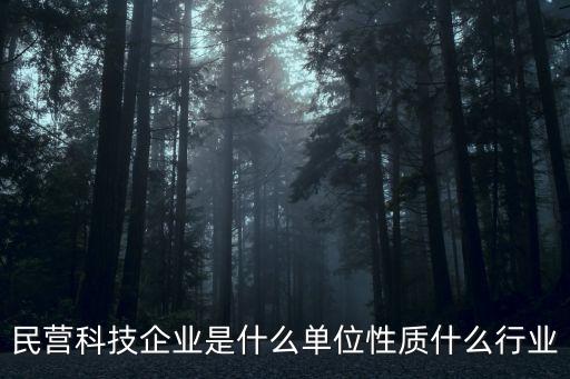 民營科技，民營科技企業(yè)和高新技術(shù)企業(yè)的區(qū)別