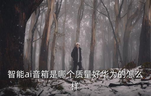 智能ai音箱是哪個(gè)質(zhì)量好華為的怎么樣