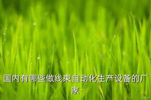 國(guó)內(nèi)有哪些做線束自動(dòng)化生產(chǎn)設(shè)備的廠家