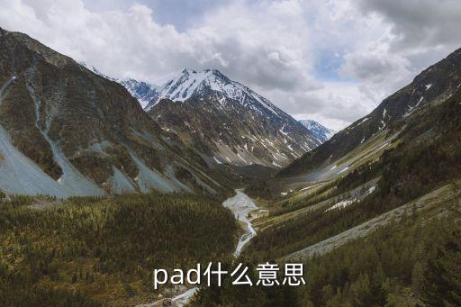 pad什么意思