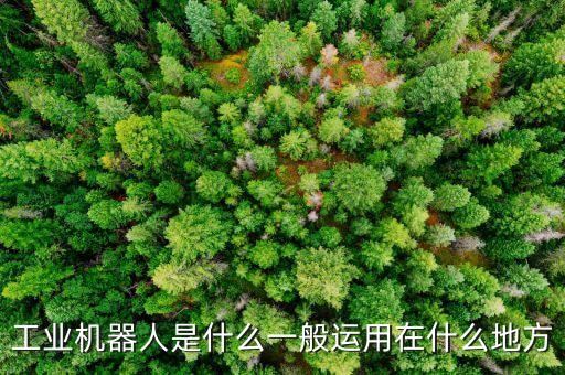 工業(yè)機器人是什么一般運用在什么地方