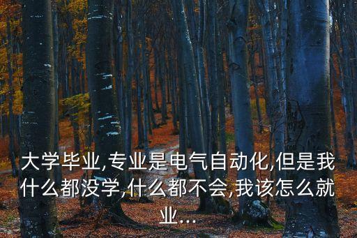 大學畢業(yè),專業(yè)是電氣自動化,但是我什么都沒學,什么都不會,我該怎么就業(yè)...
