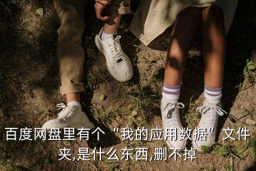 應(yīng)用與數(shù)據(jù)怎么刪除不了,如何刪除應(yīng)用數(shù)據(jù)?