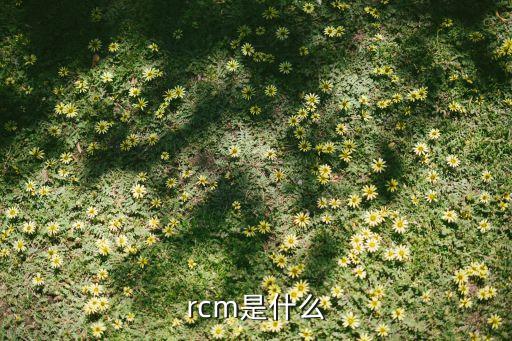 RCM，rcm是什么
